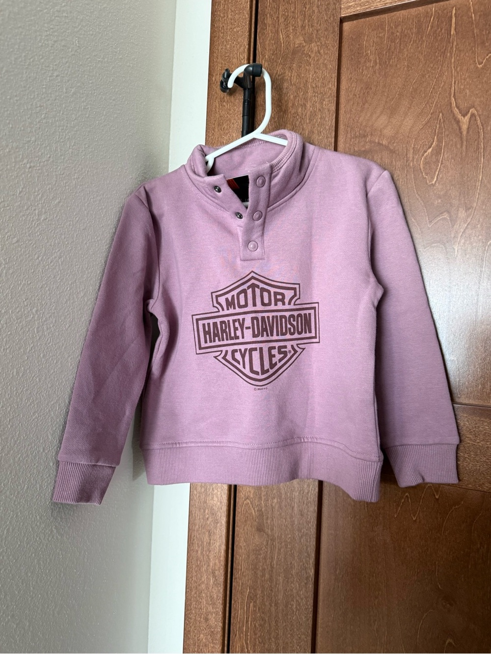 Harley-Davidson Snap-Neck Sweatshirt